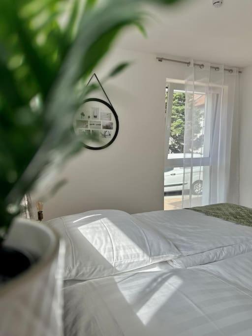 Amao-Pearl I Comfort Suite I 94Qm I Kingsize-Bett I Exklusiv Mit Balkon & Tiefgarage I Aufzug Offenburg Eksteriør billede